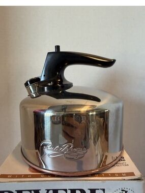Stainless Steel Whistling Tea Kettle with Black Handle